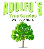 Adolfo's Tree Service image 1